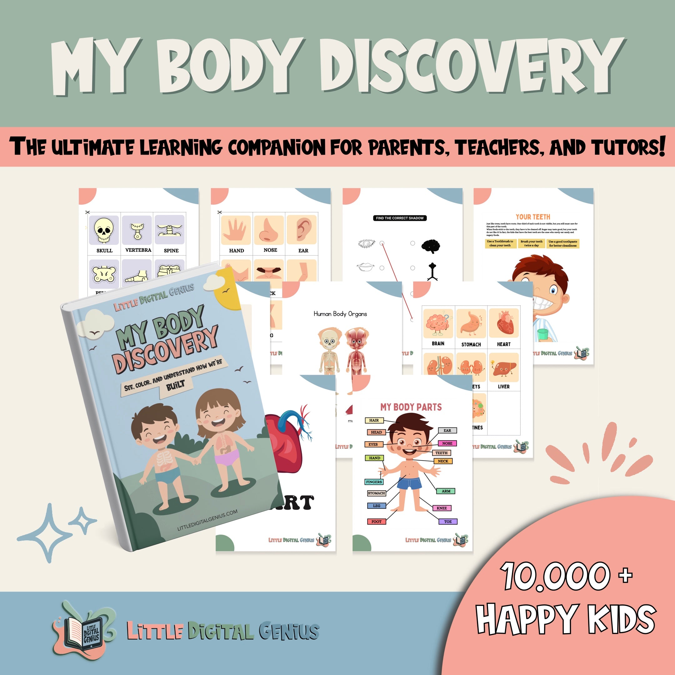 My Body Discovery